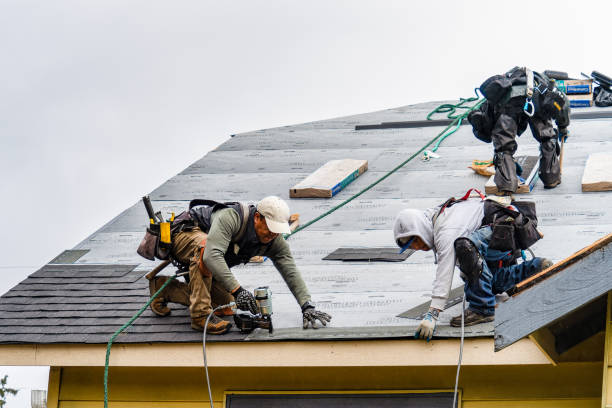 Professional Roofing technician working in Gerlaw, IL